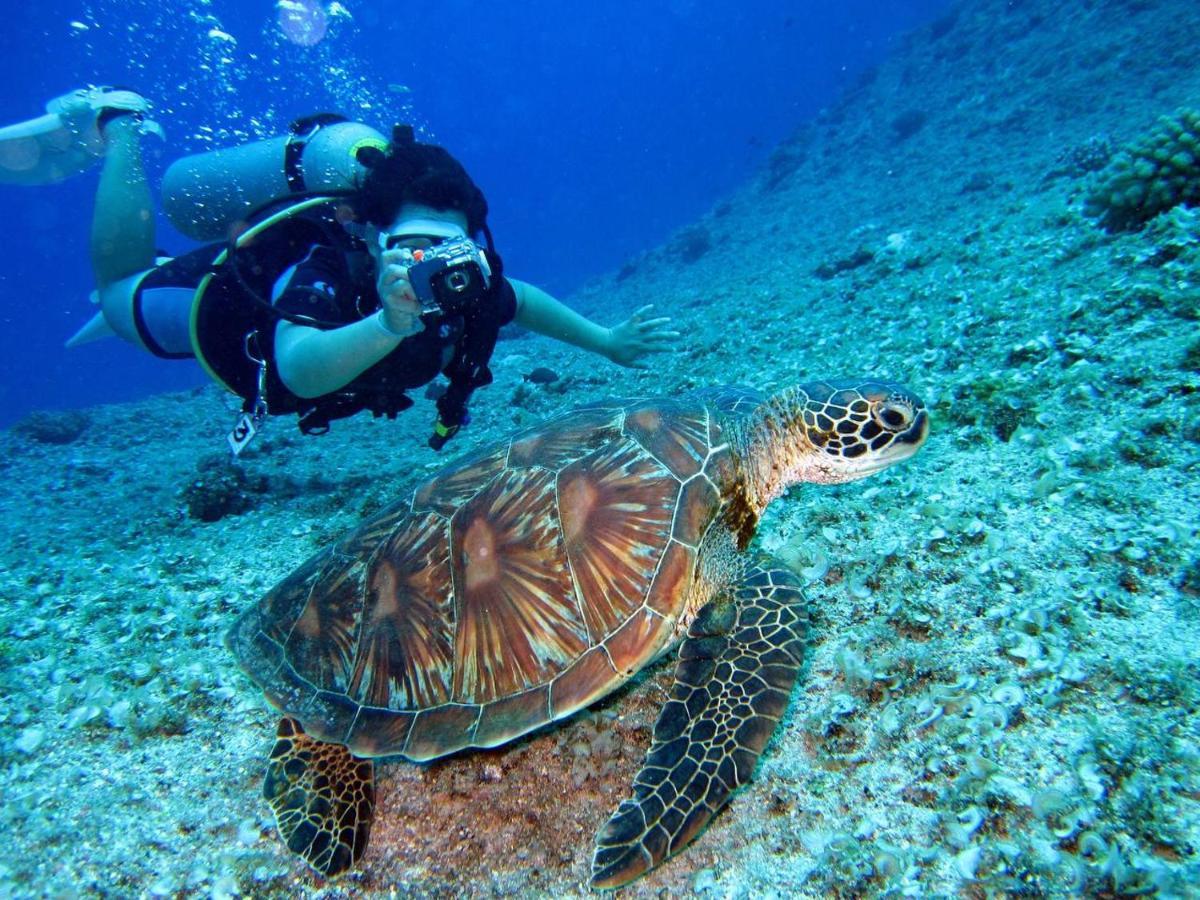 Manta Dhangethi Eksteriør bilde