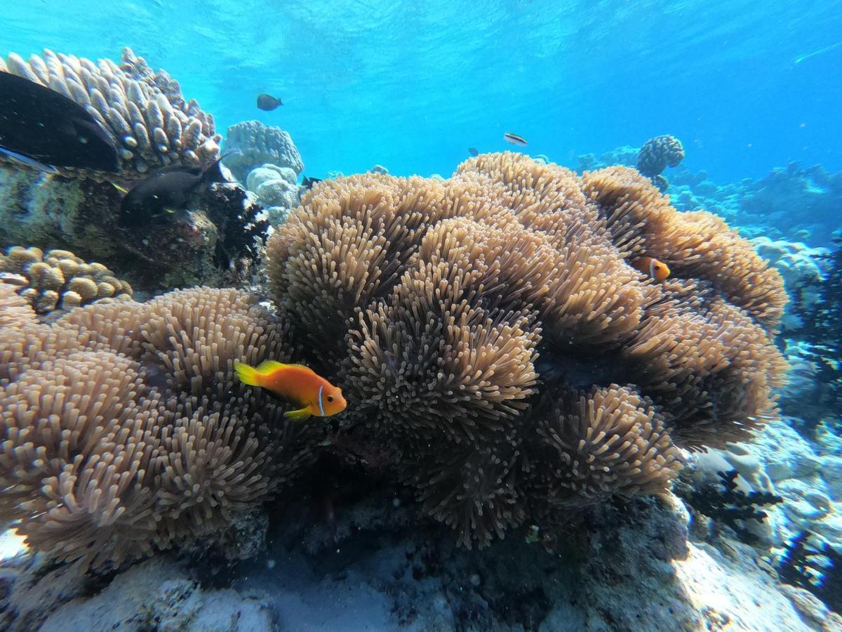 Manta Dhangethi Eksteriør bilde